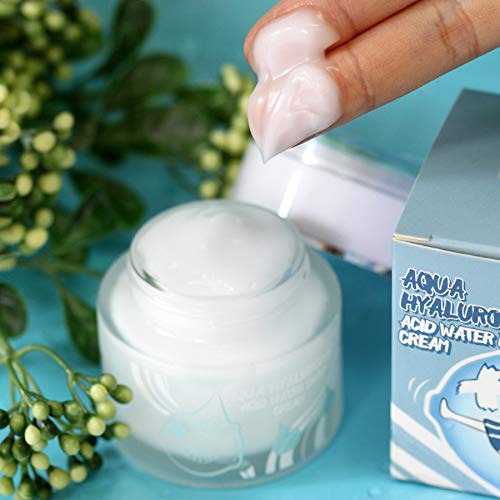 Elizavecca Aqua Hyaluronic Acid Water Drop Cream 1 7 Ounce K Beauty