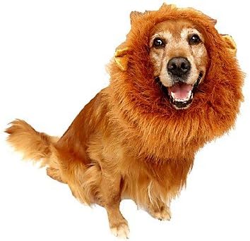 WWQY Pet Costume Lion Mane Wig for Dog Cat Halloween Clothes with Ear Clothes for dogs for cats Goods for pets