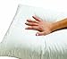 Dust Mite and Allergen Proof Pillow Encasing (Cover); Premium Microfiber (Standard Size)