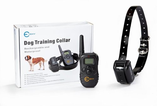 colpet shock collar