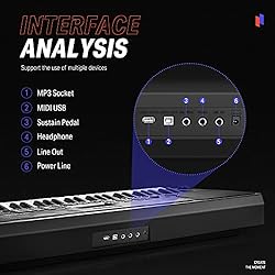 Donner Keyboard Piano, 61 Key Piano Keyboard, Force