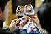 Stemless Wine Glass Charms - Magnetic Drink Charms For Fall, Thanksgiving and Winter Set of 12