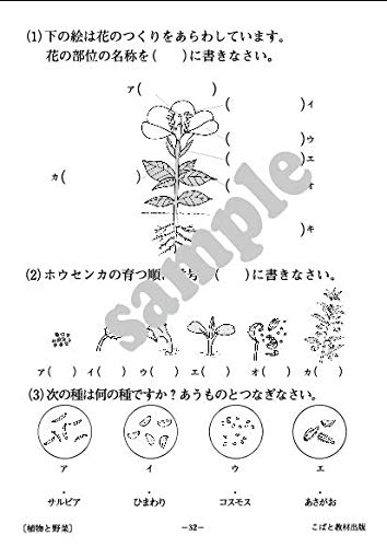 中高生のための自然 理科 遠藤敏子 こばと教材出版 本 通販 Amazon