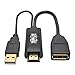Tripp Lite 4K HDMI to DisplayPort Video Converter w/USB Power, Male-to-Female, 4Kx2K @ 30Hz HDMI to DP, 6 inches, Black, 2-Year Warranty (P130-06N-DP-V2)