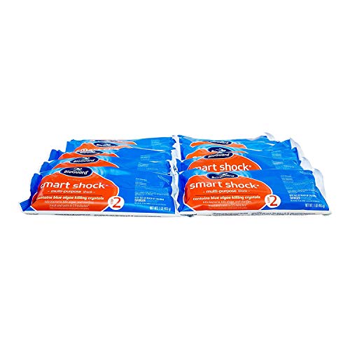 BioGuard Smart Shock (1 lb) (12 Pack)