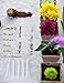 Flowers Seed Starter Kit - Flower Seeds for Planting an Indoor Garden Kit | Starting Indoor Gardening Grow Kit with Plant Soil Mix | Potting Sprouting and Growing Plants Indoors - By Mr Sprout