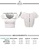 Fifth Parallel Threads FPT Womens Basic Short Sleeve Scoopneck Crop Top Yellow M