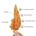 Pet Cuisine Dog Treats Puppy Chews Training Snacks,Chewy Chicken & Fish Twisters,12 oz