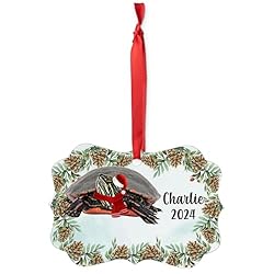 Painted Turtle Christmas Ornament 2024