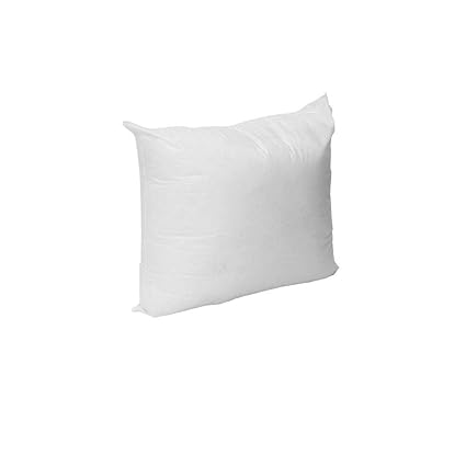 Amazon Com Eagle Linen 1 Pack 15 X 15 Pillow Insert Premium