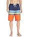 TSLA Men's 11 Inches Swimtrunks Quick Dry Water Beach