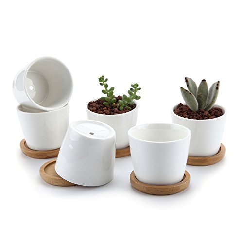 T4U Set di 6 Vasi per Piante Rotondo, 6.5cm Ceramica Vaso da Fiori con Vassoio, Fioriera per Succulenta Erba Cactus, Giardino Decorazione i Vasi di Fiori da Interno All'aperto