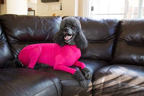 dog leotard amazon