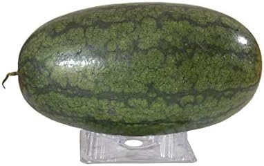 COOES Soporte de Melón de plástico (24 Piezas) para Plantas y ...
