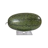 Plastic Melon Support (24 PCS) Plant & Garden Cradle for Watermelon-Pumpkin-Squash - Holds up to 20 lbs