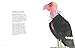 The Atlas of Amazing Birds: (fun, colorful watercolor paintings of birds from around the world with unusual facts, ages 5-10, perfect gift for young birders and naturalists)
