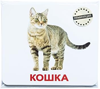 Wunderkind s pelenok Вундеркинд с пеленок. Домашние животные на русском языке (большие карточки с фактами) Farm Animals and Pets Russian Flash Cards