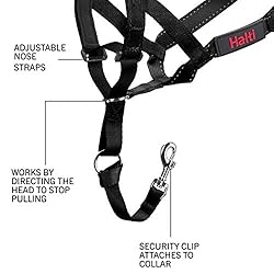 Halti Headcollar and Training Lead Combination