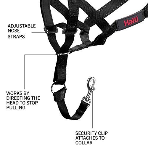 Halti Headcollar and Training Lead Combination Pack, Stop Dog Pulling