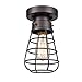 DANSEER Retro Industrial Loft Barn Oil Rubbed Bronze Cage Ceiling Light Fixture