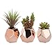 MyGift Small Artificial Plants Assorted Fake Succulents in Rose Gold Ceramic Planters Pot, Set of 3