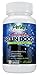 Focus Memory Clarity Brain Supplement: Nootropic Support with DMAE by Parker Naturals, Ginkgo Biloba & St. John's Wort