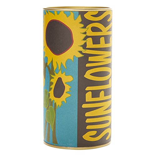 Top sunflower growing kit | Aalsum Reviews