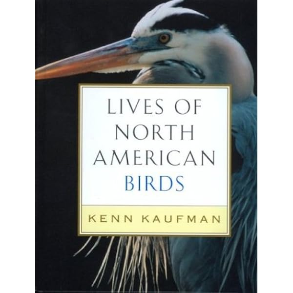 Amazon.com: Jeffrey Whiting's Owls of North America (Whiting's
