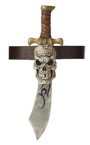 California Costumes Pirate Sword & Skull Sheath Costume Accessory