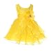 Cinderella Couture Baby-Girls Cascading Crystal Organza Rhinestone Dress