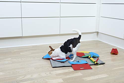 kruuse buster activity mat