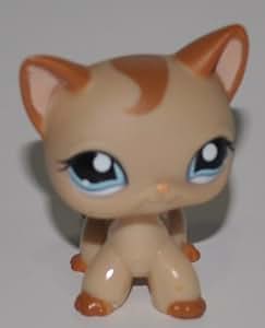 lps shorthair cat 1024