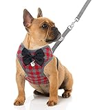 Rypet Small Dog Harness and Leash Set - No Pull Pet