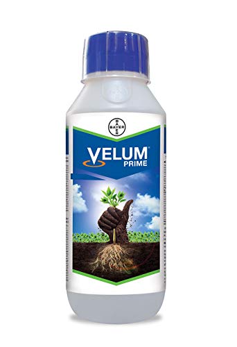 Bayer Velum Prime Insecticide for Control of Control of Root Knot nematodes in Tomato - CropScience - 250ML