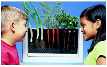 SCBHSP162-2 - ROOT-VUE FARM pack of 2