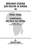 Image de Islamismus am Horn von Afrika: Al-Shabaabs Rolle für die Entwicklung Somalias (Berliner Studien zur Politik in Afrika) (German Edition)