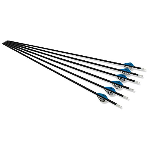 Archery sharly 31" Carbon Practice Targeting Arrows,5" Natural Feather Arrows with Screw-in Tips for Recurve Traditional and Long Bow (12PACK) - Thumbnail 3