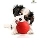 SunGrow Indestructible Puppy Ball, 3.5 Inches Diameter, Red, Tough Chew Toy for Aggressive Puppies, Ultra Bouncy for Fetch and Chase Game, Entertainment for Hours, Strong Rubber Ball