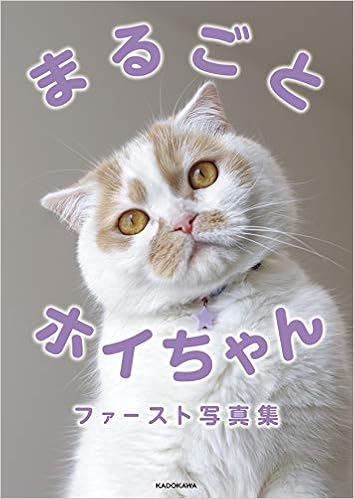 「ねこ休み展」スピンオフ公認! まるごとホイちゃん ファースト写真集 (日本語) 単行本 – 2019/4/25