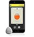 The Stone - A Button To Find Your Phone, Text Eta, Emergency Call and Control Your Camera - Cascade