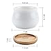 T4U 2.75 Inch Ceramic White Jar Shape Design Succulent Plant Pot/Cactus Plant Pot Flower Pot with Free Bamboo Tray/Container/Planter White