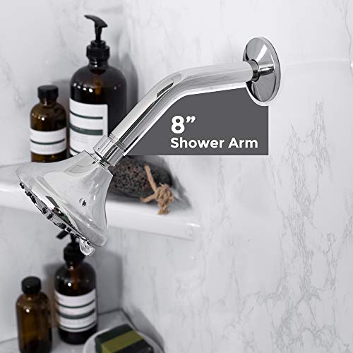 LDR 8 Inch Shower Arm and Flange, Stainless Steel Construction, Shower