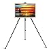 Easel Amzdeal 21