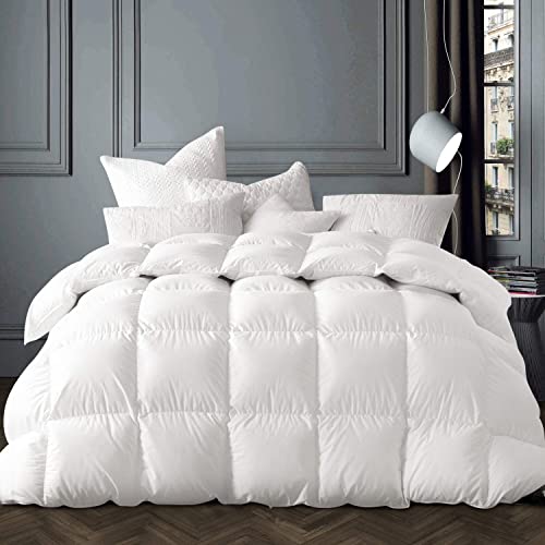 Globon Winter Goose Down Comforter