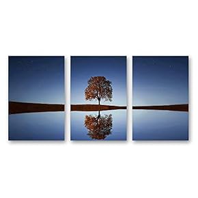 Canvas Wall Art Beautiful Scenery with Turquoise Lake, Forest and Mountains Painting Artwork for Home Prints Framed - 16"x24" x 3 Panels