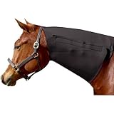 Neoprene Neck Sweat Horse