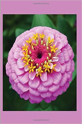 Zinnia Zinnia Flower Journal Personalized Writing Journal Notebook For Girls And Women Watercolor Floral Monogram Names Notebook Journals To Pages Pink Yellow Color Name Cover Design Simple Lined