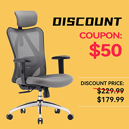SIHOO M18 Ergonomic Office Chair for Big and Tall People Adjustable Headrest with 2D Armrest 