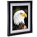 Solid Wood Picture Frames 8x10 - Hang on Wall Stand Hook Accessory Fashion Wooden Frame Stand Pictures Photos Landscape Family Portrait 8x10 Picture Frame without Mat/ 6x8 Frame with Mat 1 pack Black