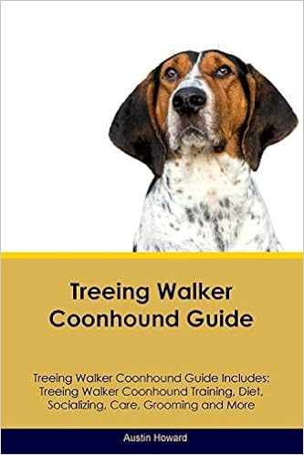 treeing walker coonhound training